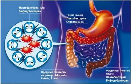 Preparate pentru tratamentul dysbiosis intestinale