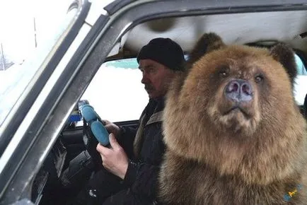 Care este avatarul Vkontakte Care este avatarul Vkontakte