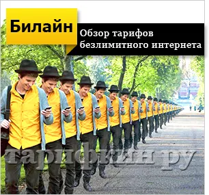 Incluse în tarif nelimitat Beeline