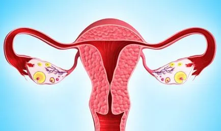 Ce este ovar multifollikulyarny Ce este ovar multifollikulyarny