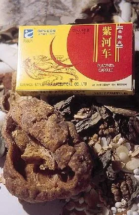 În ceea ce chinezii mananca embrioni