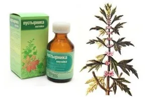Cum de a da copilului tau motherwort