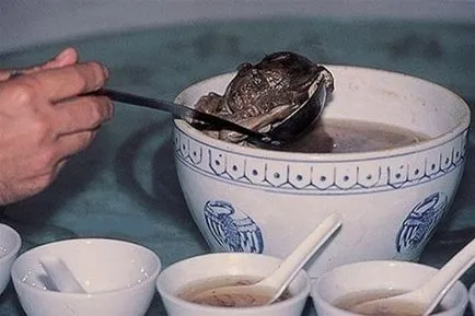 În ceea ce chinezii mananca embrioni