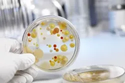 Cum să examineze stomac Cum să examineze stomac