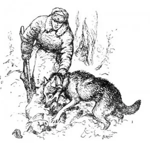 Monumente câine sobakotvorchestvo - Karelia Dog Training Forum koira (câini) Monumente câine sobakotvorchestvo - Karelia Dog Training Forum koira