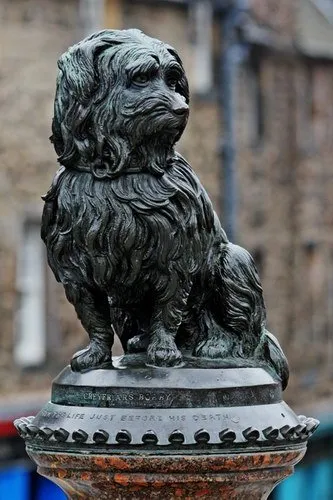 monumente câini
