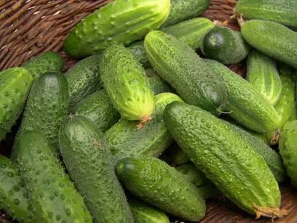 fructe de castravete