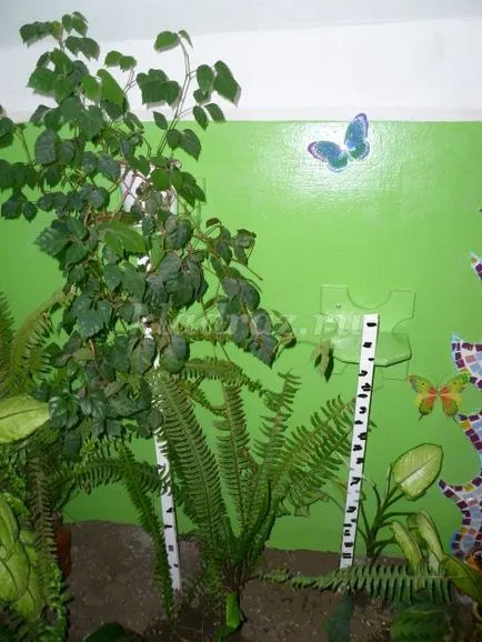 Natura Zona gradinita cu propriile lor mâini