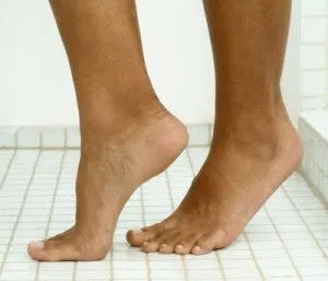 picioare De ce omidă picioare De ce omidă