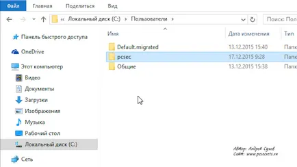 Ce fel de fișiere dosar