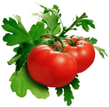 Fructele de tomate