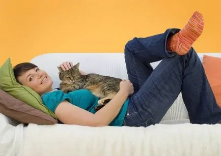 Cat însuși labe Cat însuși labe