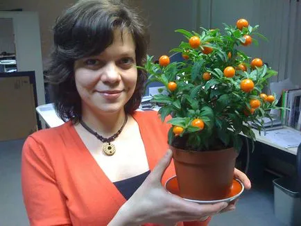 Cum să aibă grijă de un Nightshade pateu