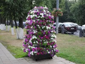 ghiveci de flori