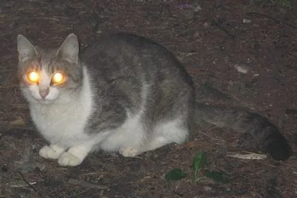 Pe măsură ce ochii lui strălucire