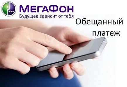 Cum se dezactivează megafonul de plată a promis