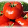 Fructele de tomate Fructele de tomate