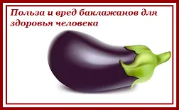 Vinete pe care le puteți mânca