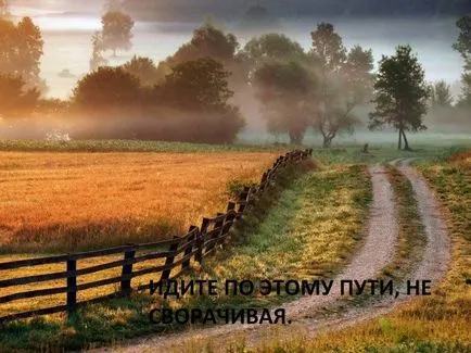 Ele sunt scrise