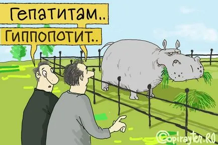 Medicamente pentru tratamentul ficatului