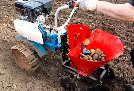 Cum să planteze cartofi în motor bloc