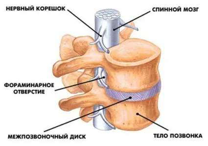 Tratamentul sciatica lumbosacral