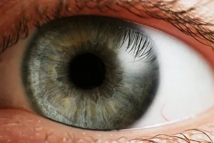 Ce este iris