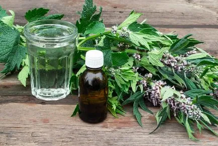 Cum de a da copilului tau motherwort