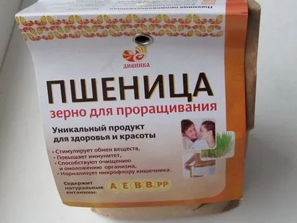 Cum să crească grâu Cum să crească grâu