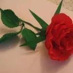 Mână a făcut trandafiri Mână a făcut trandafiri