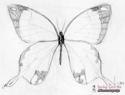 Creion pisica desen