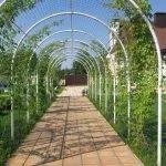 Pergola cu mâinile cum să facă un arc de grădină pentru a da, instruire, proiectare foto - AstroDestin