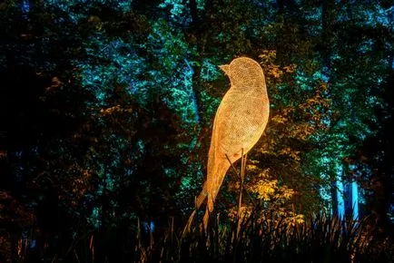 Parcul Ostankino de pădure zână plonja țara de basme și mister de iluminare (Ostankino) Parcul Ostankino de pădure zână plonja țara de basme și mister de iluminare