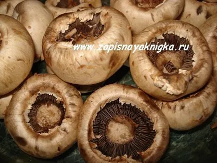 Cum se coace ciupercile în cuptor