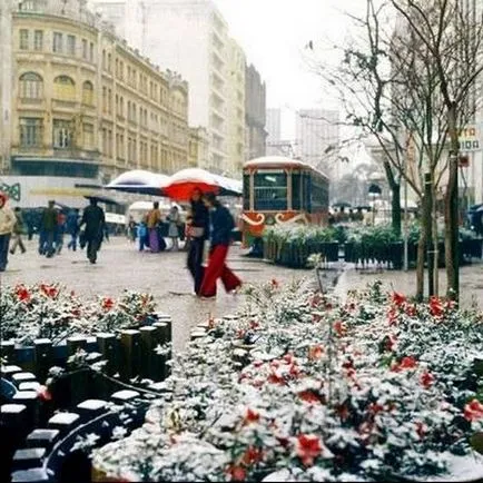 Ceea ce face oraș