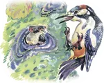 Cum de a asculta un basm Cum de a asculta un basm