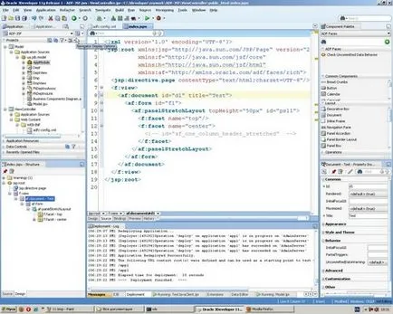 Oracle bază de date, care este