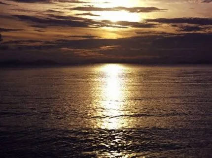 Ce este în ocean