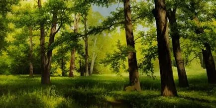 A fost o pădure ca un vis