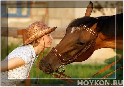 cal de lucru cal de lucru