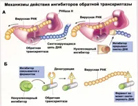 HIV tratament preventiv