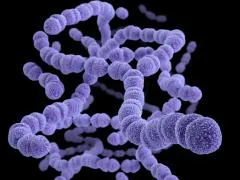 infecție streptococică la copii