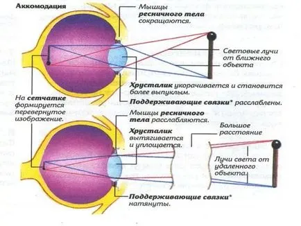 Ce este cyclospasm