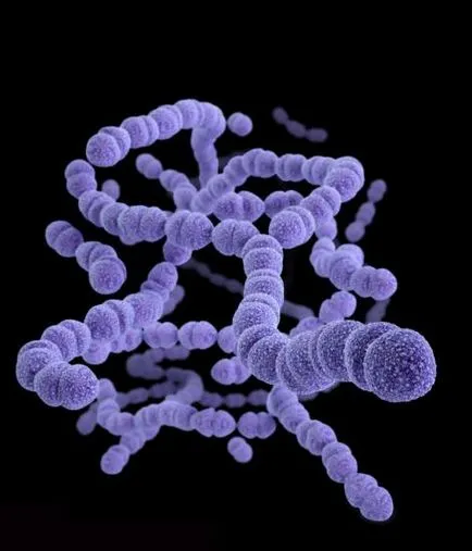 infecție streptococică la copii