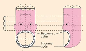 Terapia Sudzhok la domiciliu
