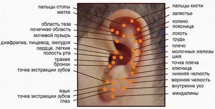 Terapia Sudzhok la domiciliu