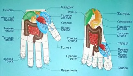 Terapia Sudzhok la domiciliu