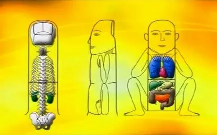 Terapia Sudzhok la domiciliu
