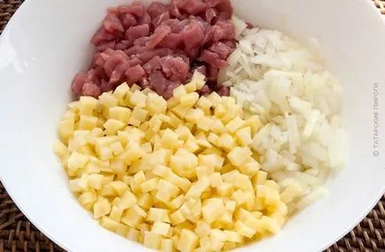 plăcinte tătară cu carne și cartofi plăcinte tătară cu carne și cartofi