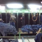 Cum blugi